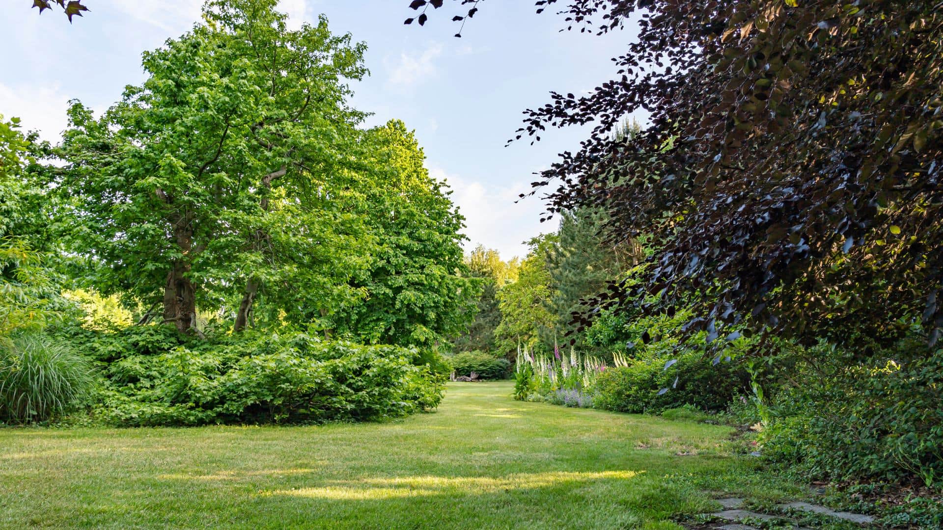 average age of trees in india peepal to neem ped ki age kitni hoti hai