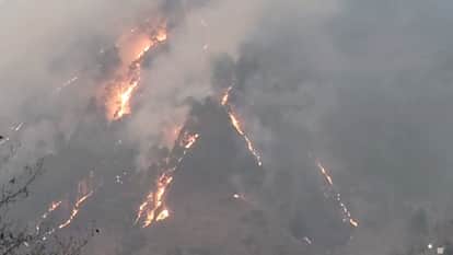 Massive fire in Tharali forests Over 20 hectares burned cow shelters threatened