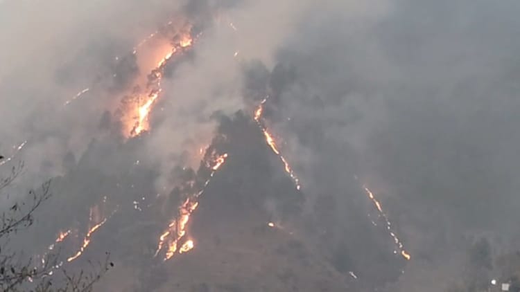 थराली के जंगलों में भीषण आग: 20 हेक्टेयर से अधिक क्षेत्र जलकर खाक, गौशालाओं को खतरा