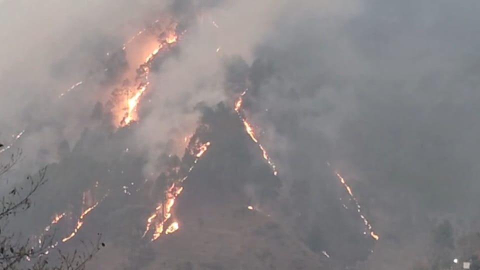 Massive fire in Tharali forests Over 20 hectares burned cow shelters threatened