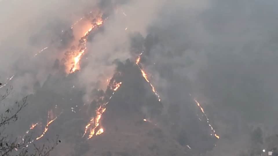 चमोली के जंगल में लगी आग