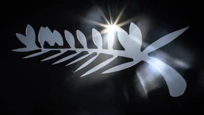 Cannes Film Festival 2026 Official Film List To Be Announced On April 9