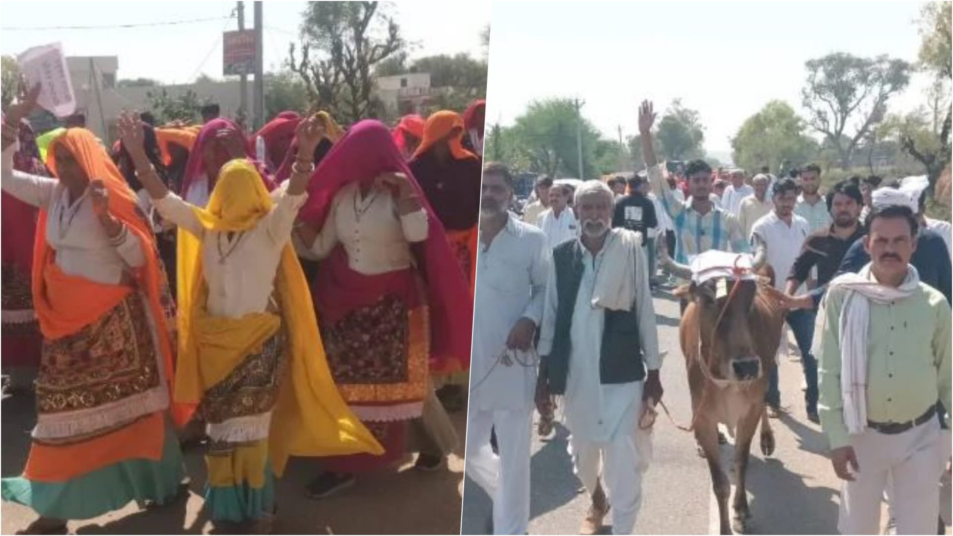 जीएसएस के विरोध में मवेशी लेकर ज्ञापन देने निकले ग्रामीण