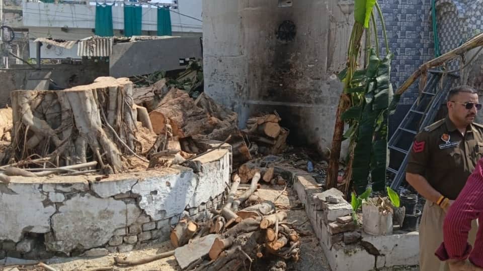 200 साल पुराना पेड़ काटा।