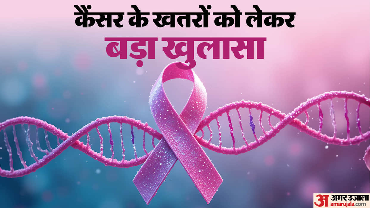 Himachal: Red meat, pesticides, and smoking increasing cancer risk; 16,000 new cases annually.