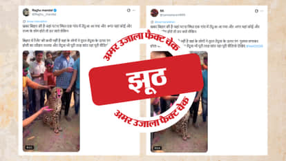 Fact Check Video of a leopard playing Holi in Bihar created using AI read the full investigation.