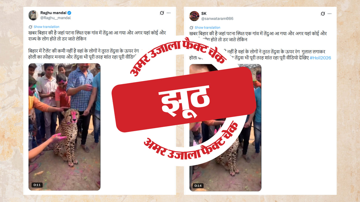 Fact Check Video of a leopard playing Holi in Bihar created using AI read the full investigation.