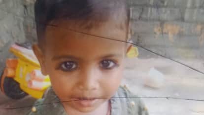 Three-year-old girl dies after being attacked by a monkey in Bareilly