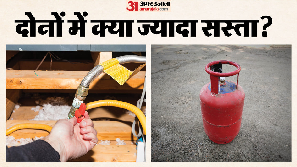 PNG vs LPG Which Gas Should You Choose which is more costly