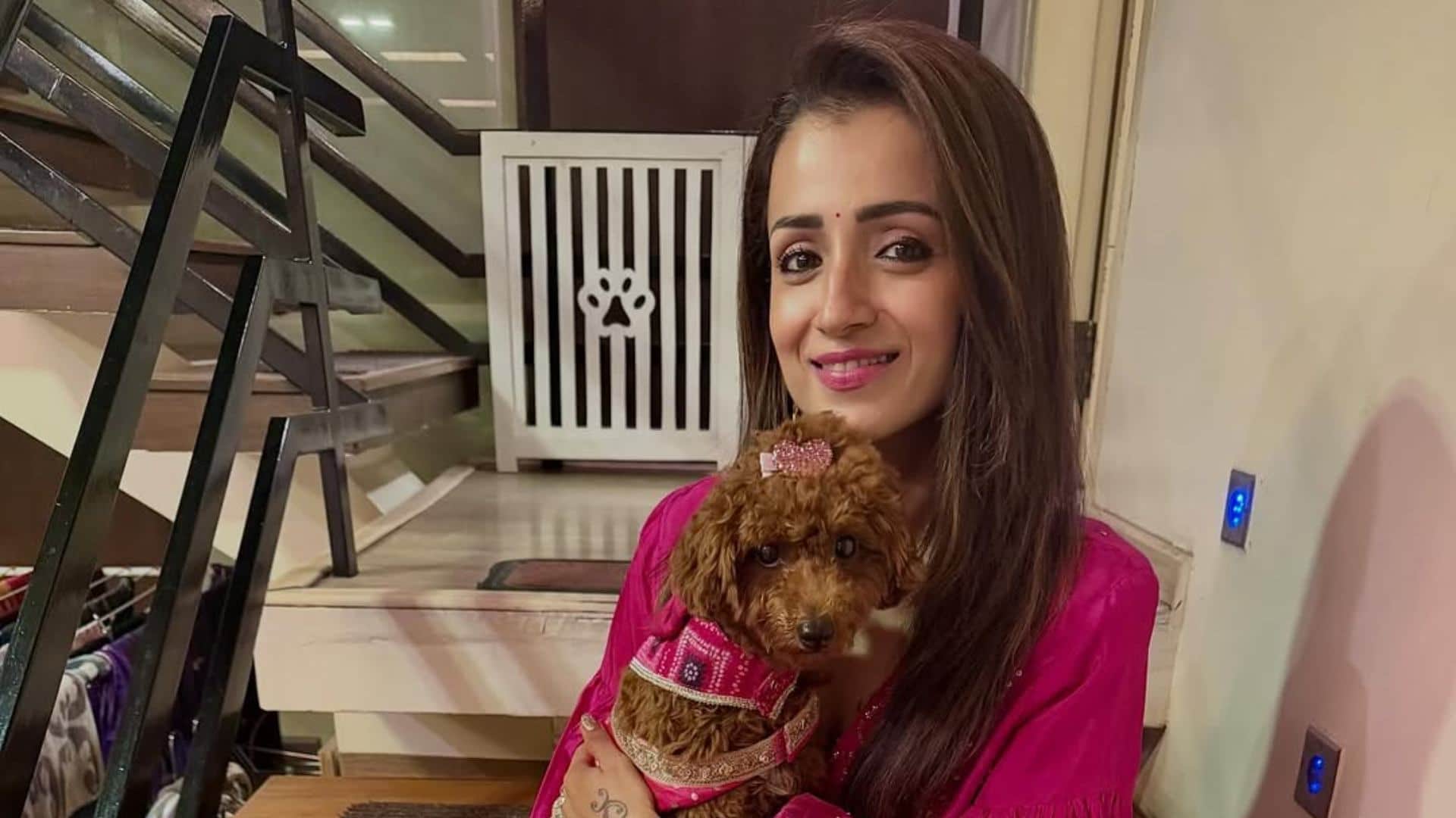 Trisha Krishnan was in relationship with Rana Daggubati to Varun Manian before vijay