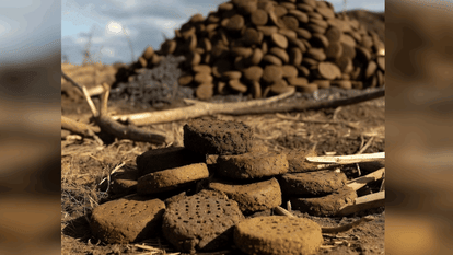 last rites will be performed with cow dung cakes at three cremation grounds.
