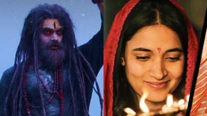 Charak Day 2 And The Kerala Story 2 Day 10 Collection Amid T20 World Cup Final Match
