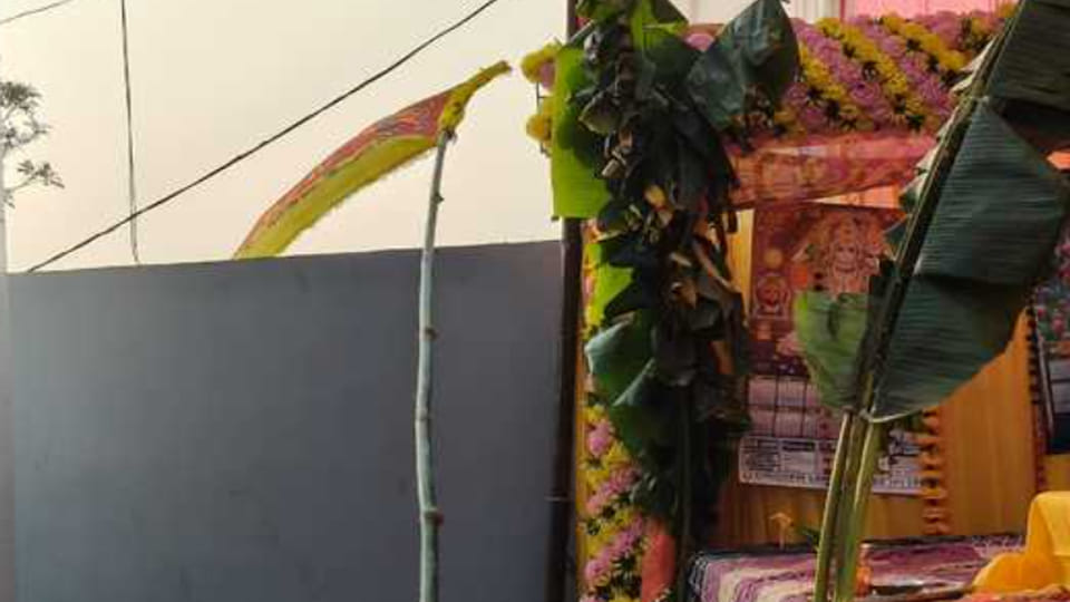 Farrukhabad: A bamboo carrying a flag touched a high-tension line, electrocuting a teenager
