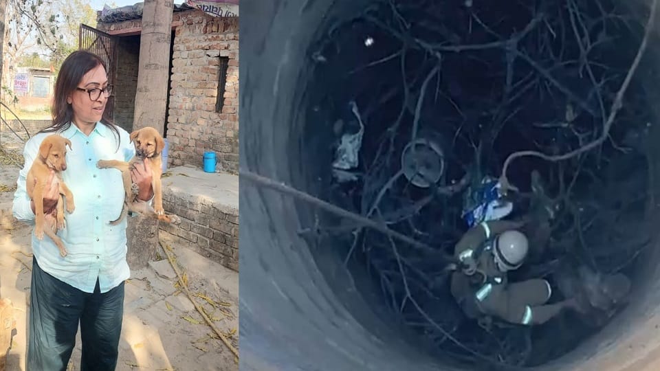 Rescue Operation Saves Two Puppies from 70-Foot Deep Well in Agra Two Found Dead