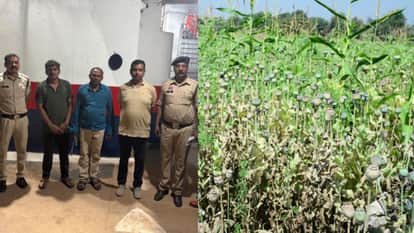 Three accused including BJP leader Vinayak Tamrakar arrested in case of opium cultivation in Durg