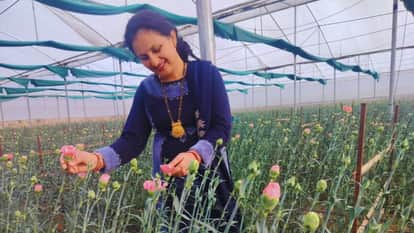 International Women's Day 2026 daughters of Himachal set an example changing fate of the mountains