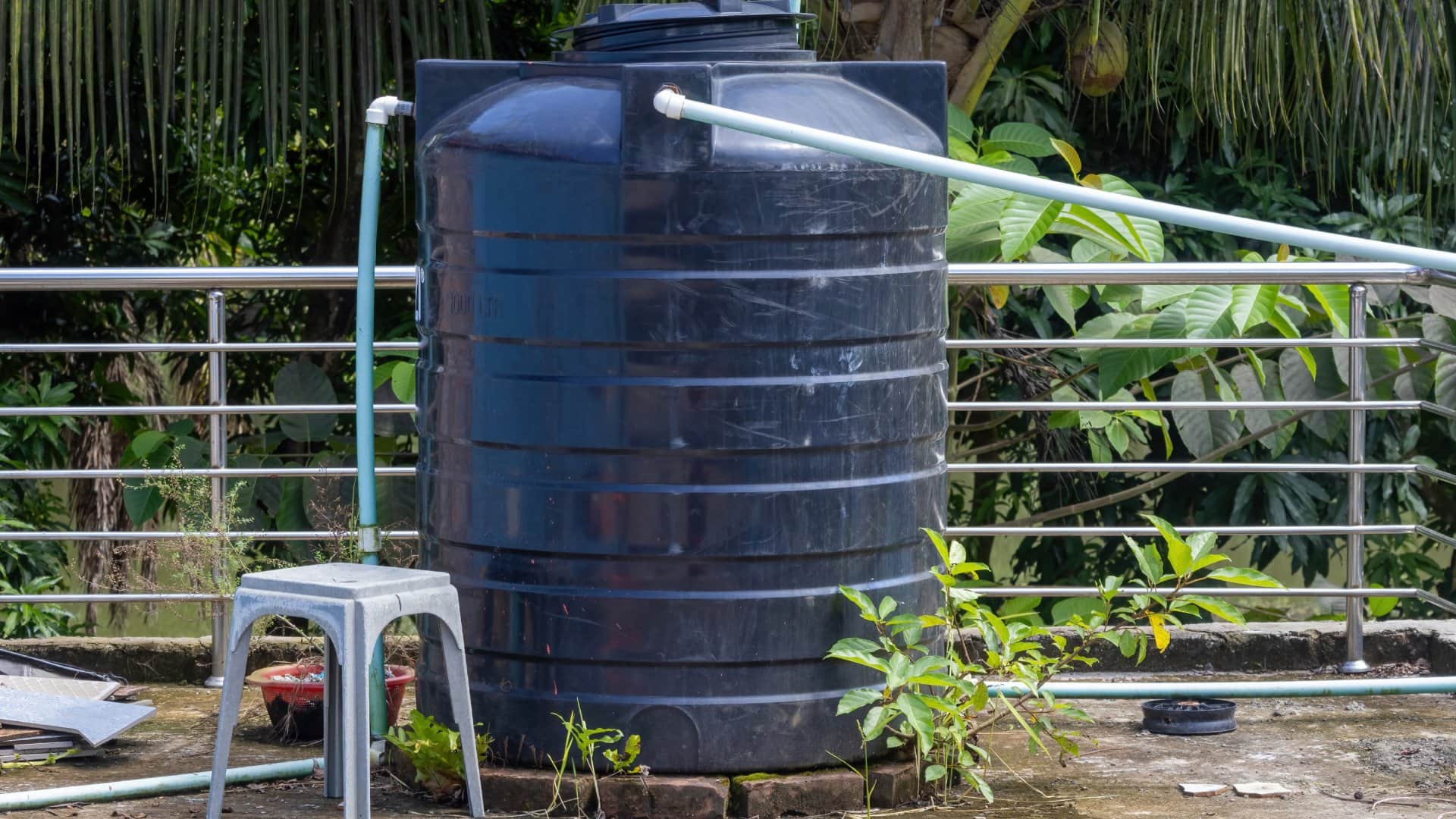 water tank safety tips how to remove peepal tree roots near water tank in hindi