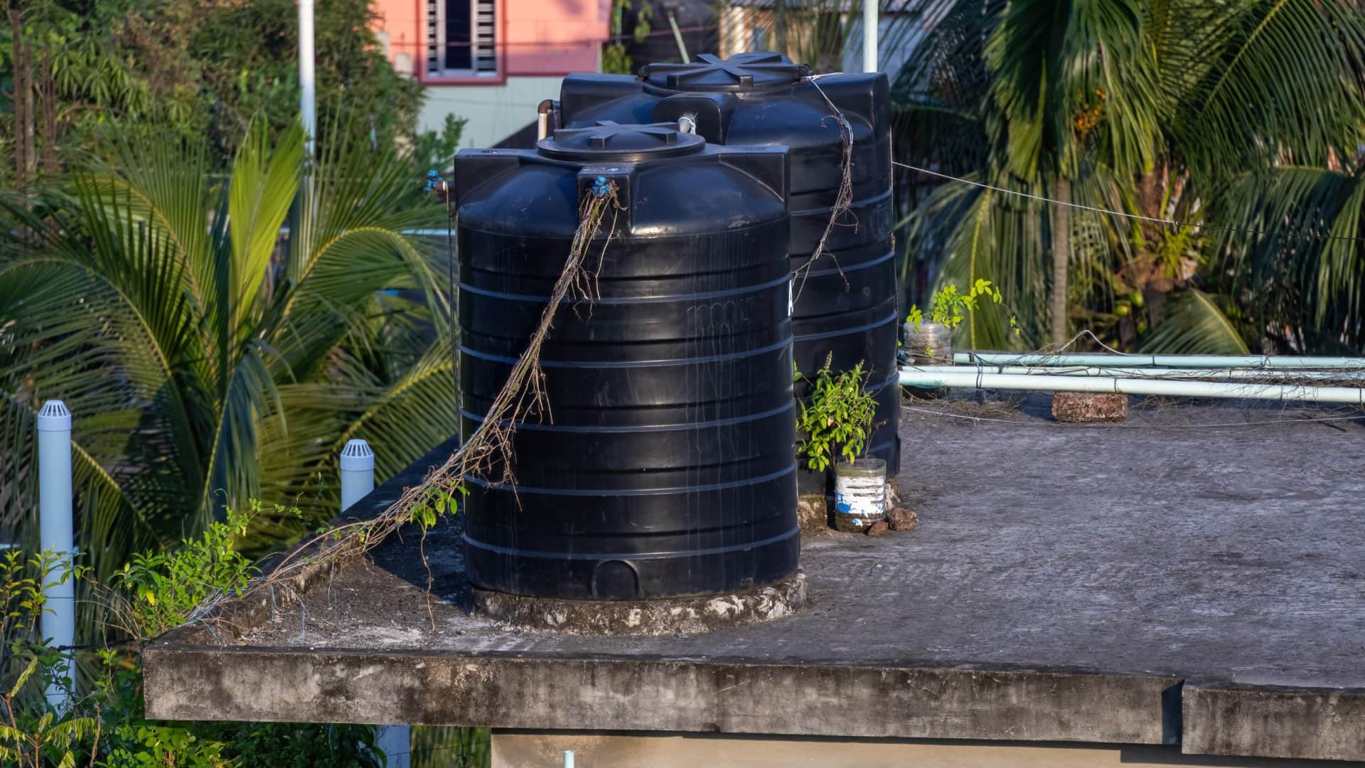 water tank safety tips how to remove peepal tree roots near water tank in hindi