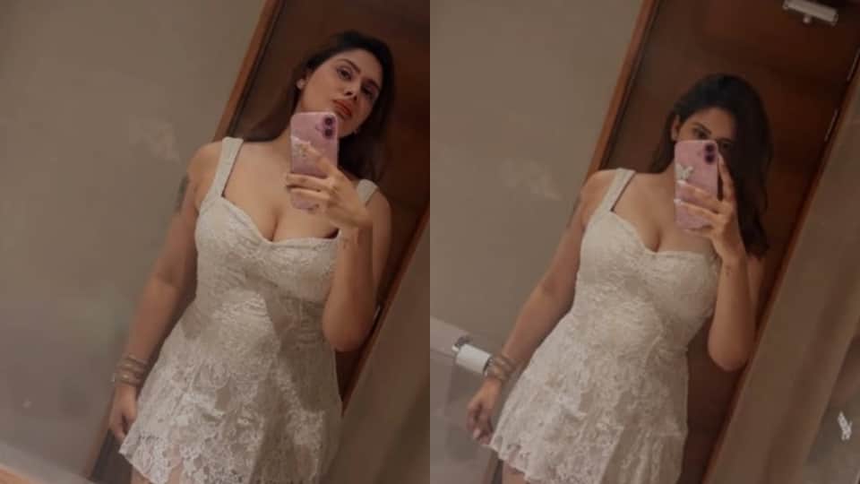 Cricketer Amit Mishra wife allegation he affairs with other women beat me after drinking alcohol