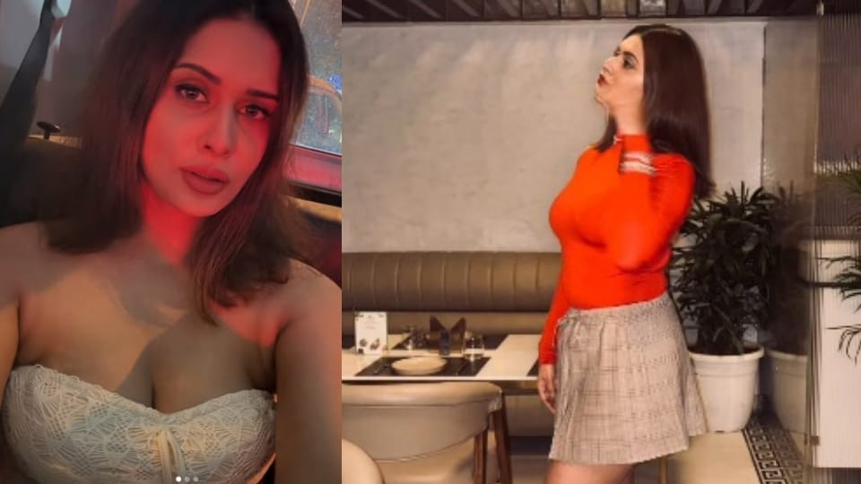 Cricketer Amit Mishra wife allegation he affairs with other women beat me after drinking alcohol