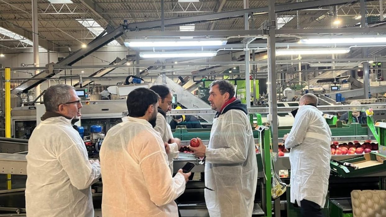 Certified Excellence– EU quality guarantee to India's table eu apple kiwi
