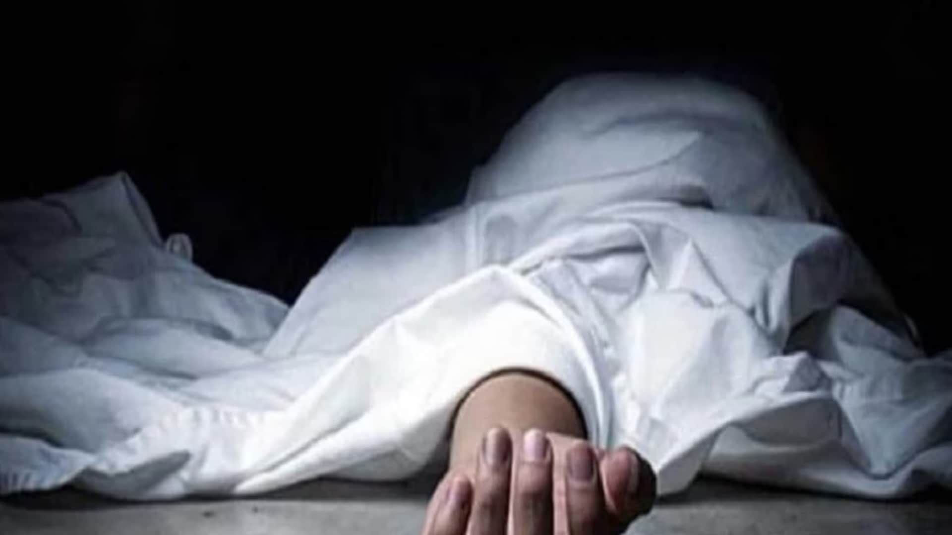 Chamoli News Woman died in after falling rock while she was in forest together fodder leaves