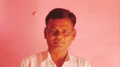 Auto Overturns While Avoiding Wild Animal in Agra, Driver Killed and Two Women Critical