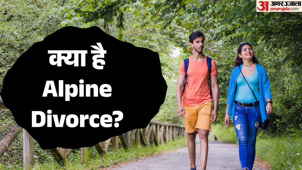 Relationship Trend Alpine Divorce Kya Hai Meaning And Effects in Hindi