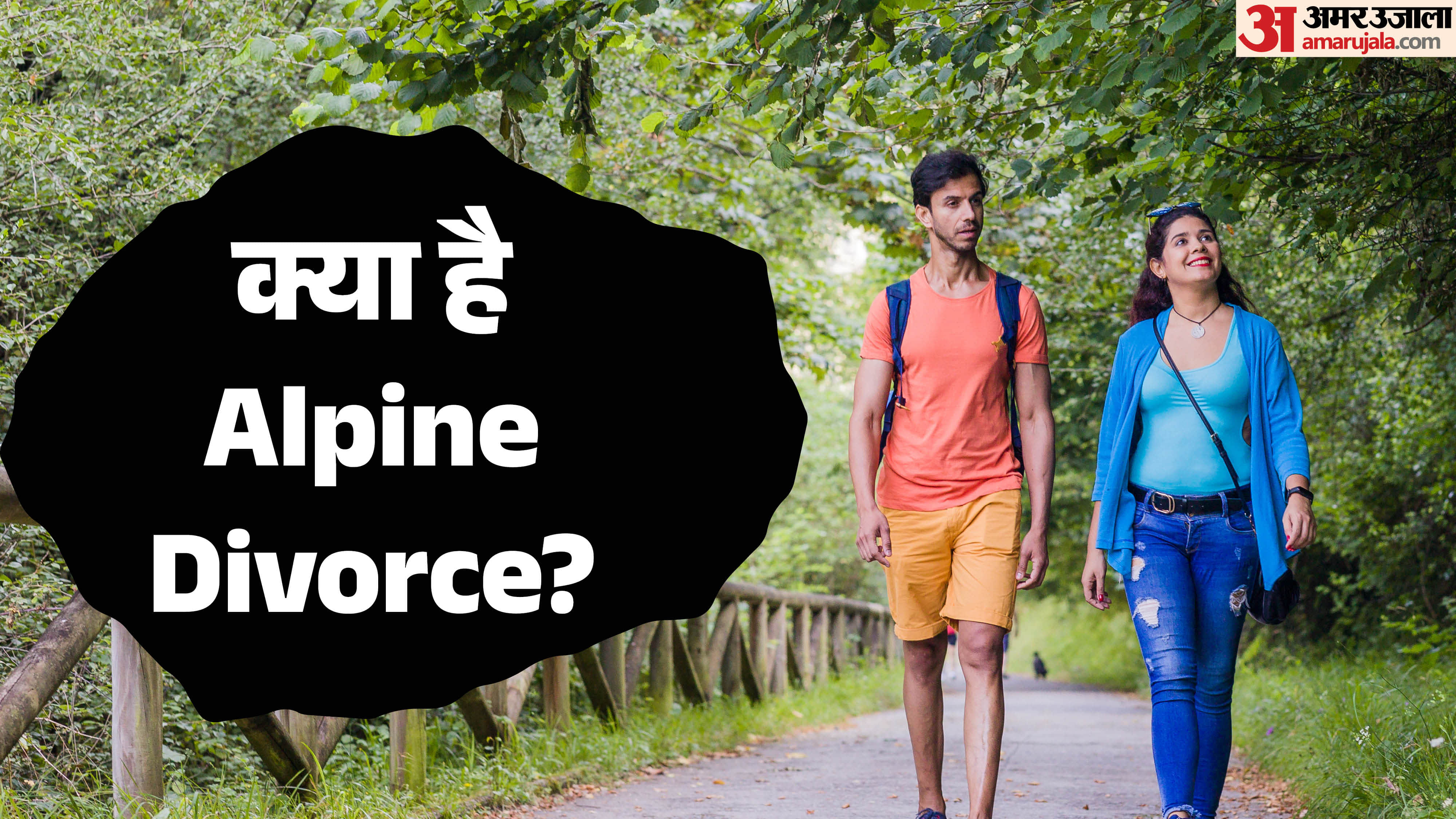 Relationship Trend Alpine Divorce Kya Hai Meaning And Effects in Hindi