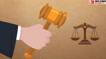 Termites eat away four-decade-old murder case files FIR filed on court orders in azamgarh