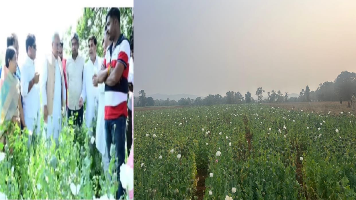 CG: Congress taunts on drug trade flourishing in Chhattisgarh