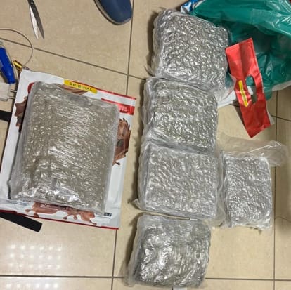 Lucknow: Accused arrested at Lucknow airport with ganja worth Rs 6.23 crore