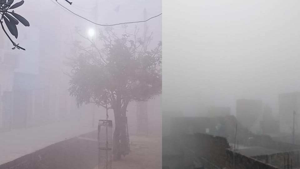 UP Weather Fog engulfed many districts of UP in the month of March