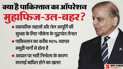 Pakistan is worried about the ongoing war in Iran. Why did the Shahbaz gov deploy the navy to protect itself?