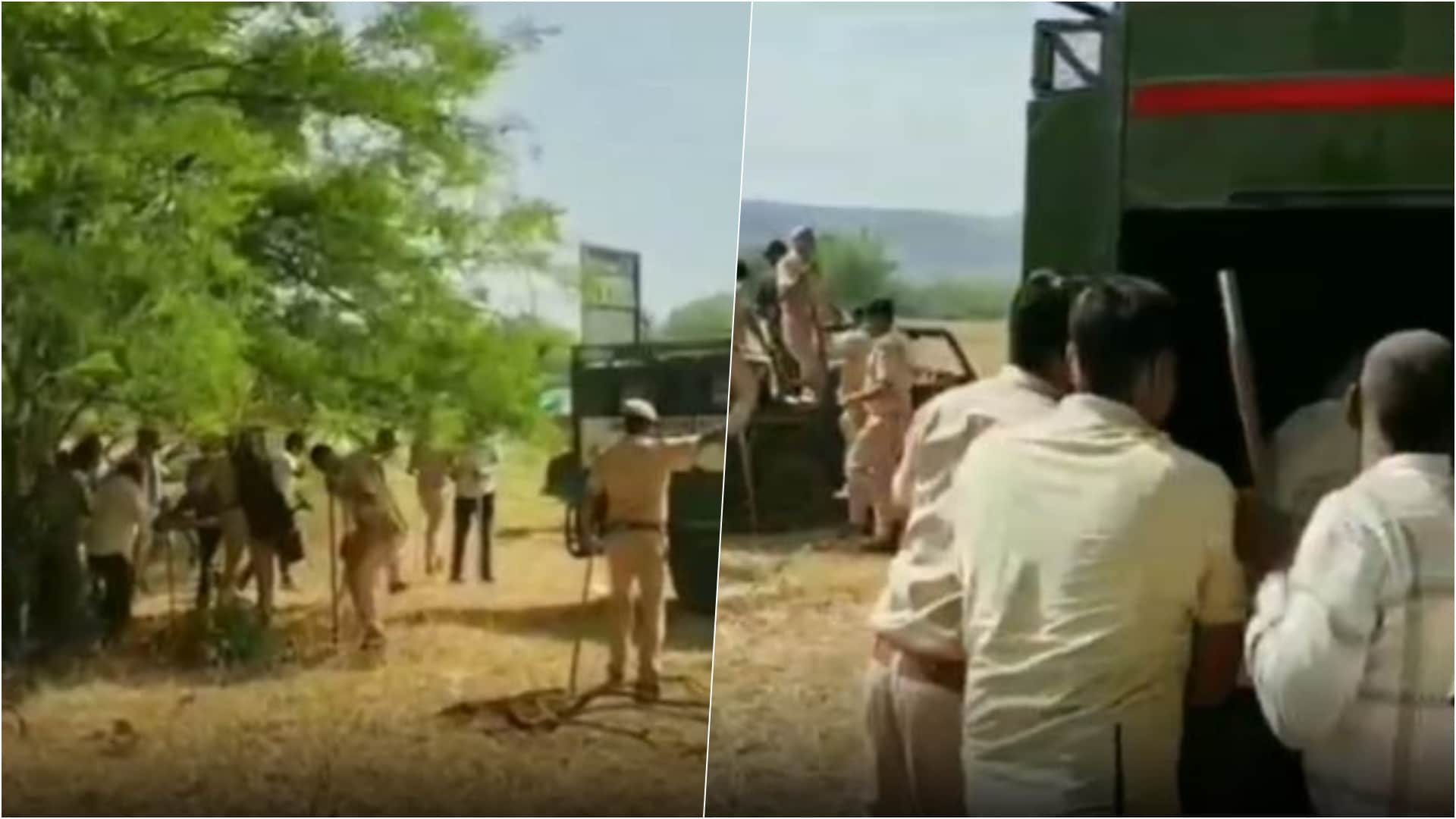 बाघ को ट्रेंकुलाइज कर जंगल में छोड़ा