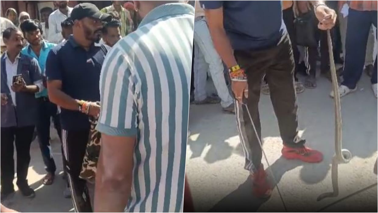 Alwar News: Youth Catching Snake Becomes Victim, Bitten by Snake Hiding in Car Engine; Admitted to Hospital