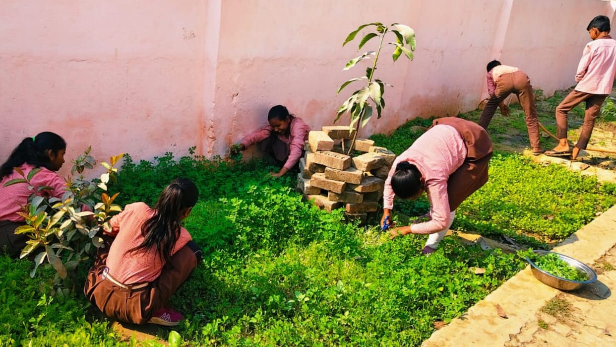 girl students in government schools grew vegetables in Varanasi