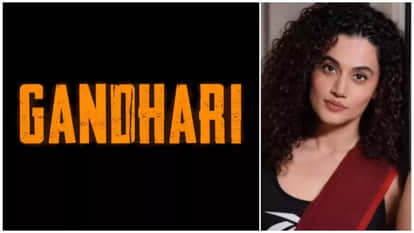 Taapsee Pannu Reacts On Actors Entourage Controversy Says Every Stars Not Did Same She Examples SRK And Big B