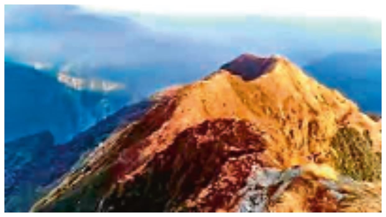 Will the Himalayan flora become extinct balance of the Himalayas is deteriorating