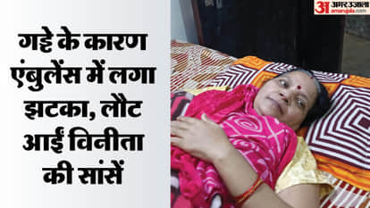 UP Big News: Harish granted euthanasia, breath returned after being struck by a pit; Shankaracharya said – now