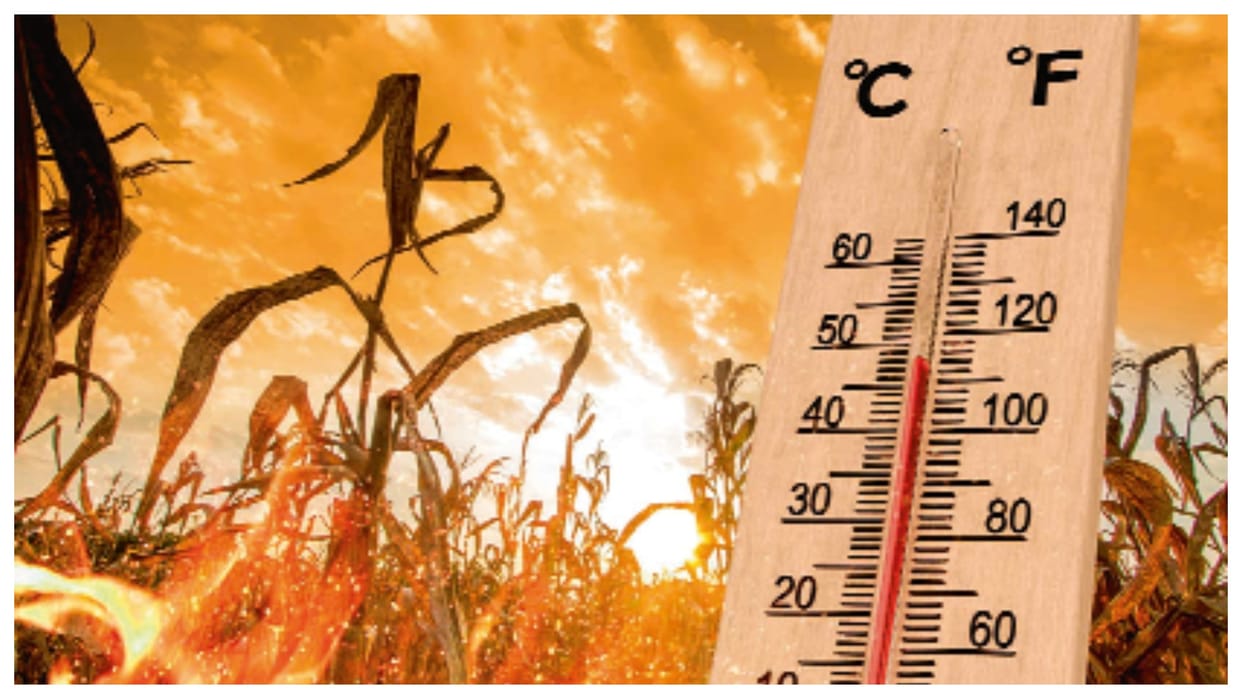 March heatwaves like May June the threat of changing weather crisis for crops