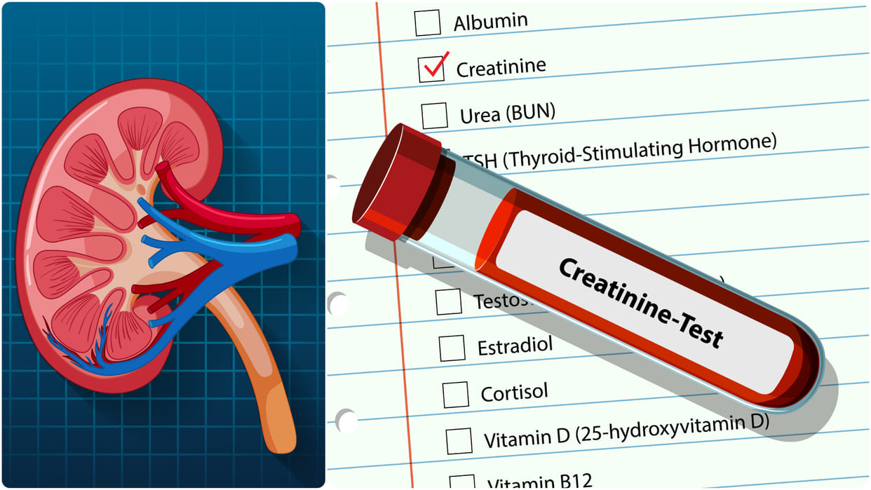 what is creatine in blood and risk of Chronic kidney disease know creatinine badhne se kya hota hai