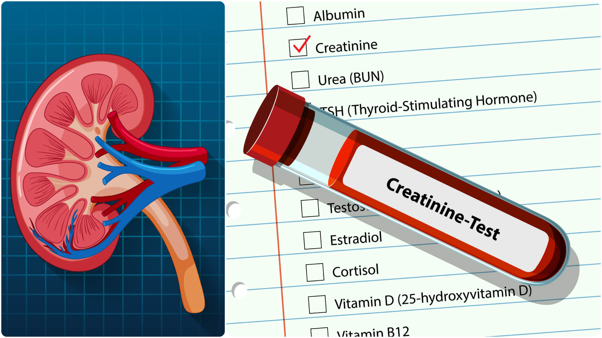 what is creatine in blood and risk of Chronic kidney disease know creatinine badhne se kya hota hai