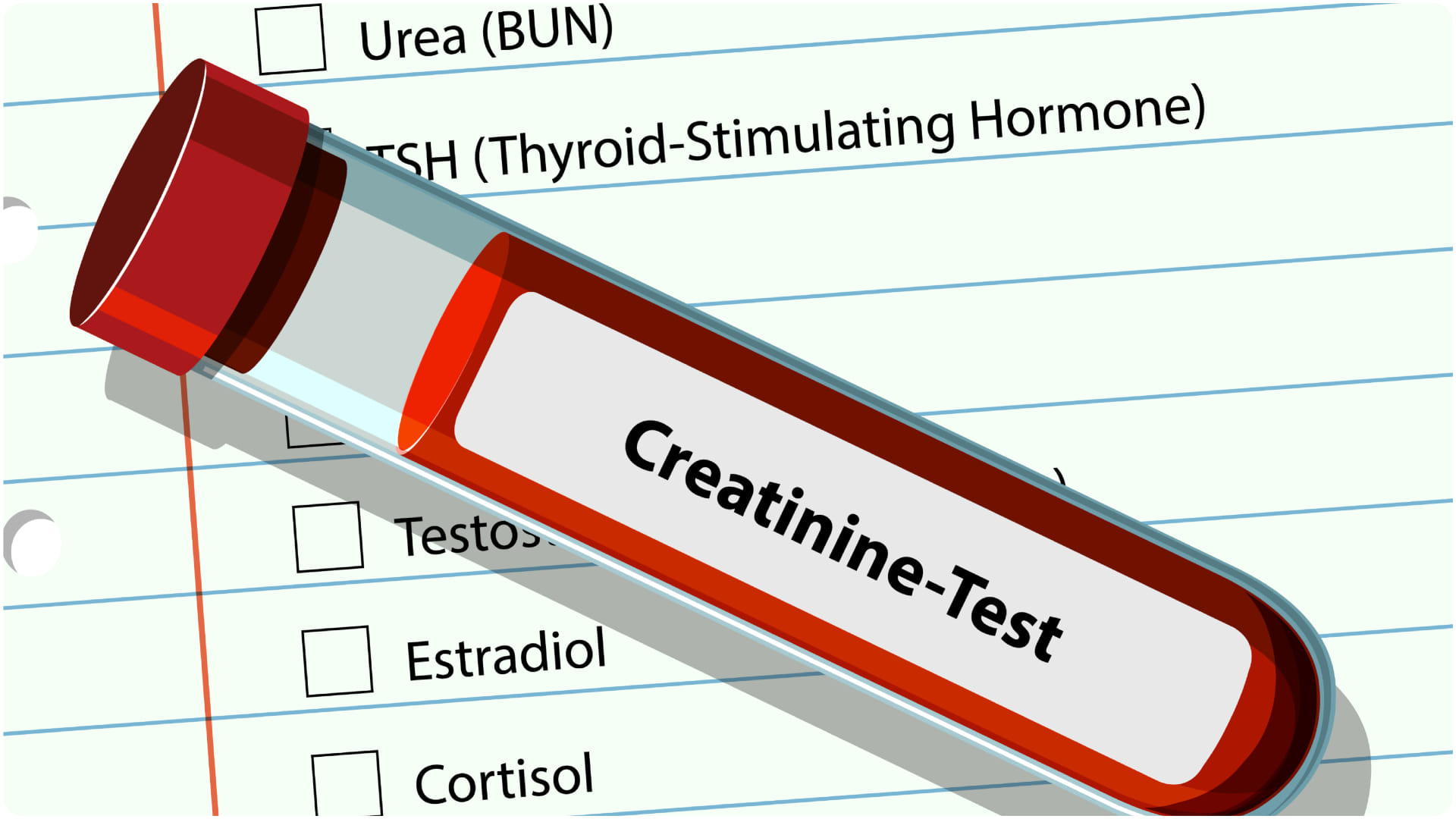 Kidney Function Test use When Should You Go for Your Kft test Understanding the report