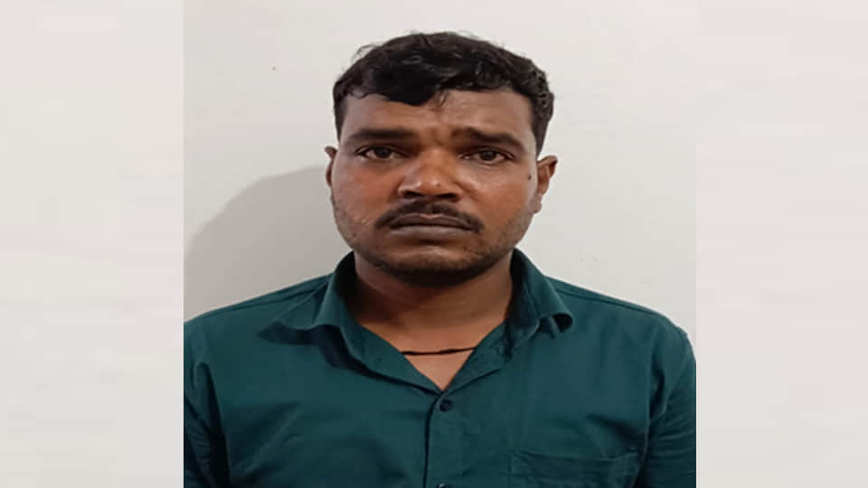 गिरफ्त में आरोपी