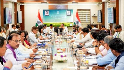 MP News: Centre approves Bhavantar Payment Scheme for mustard procurement, farmers to benefit