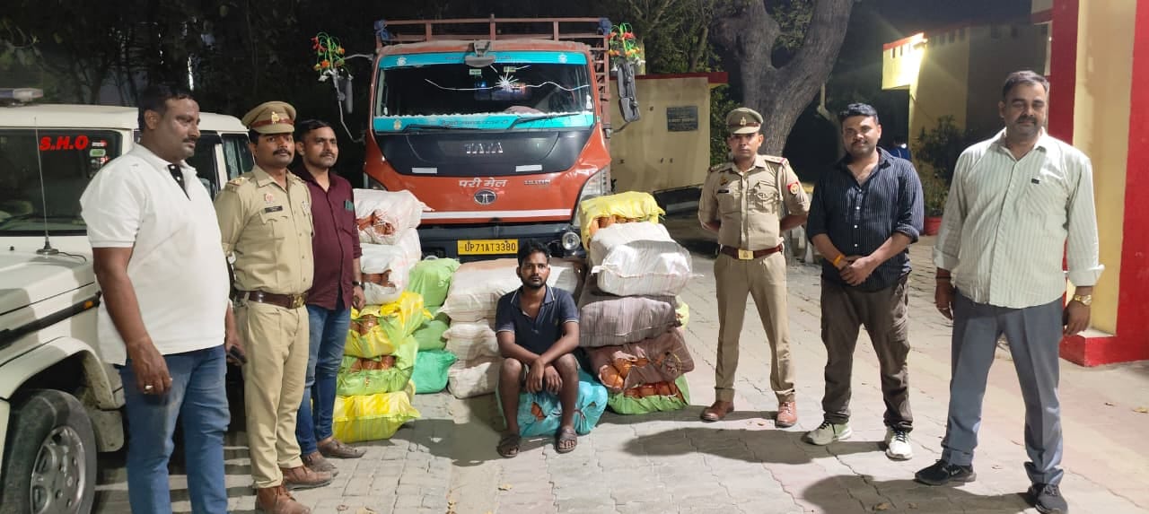 Lucknow: 7 quintals and 75 kilograms of illegal marijuana recovered from a DCM, one smuggler arrested