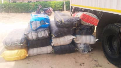Ganja smuggling in Pushpa film style worth about 3 million recovered smuggler arrested