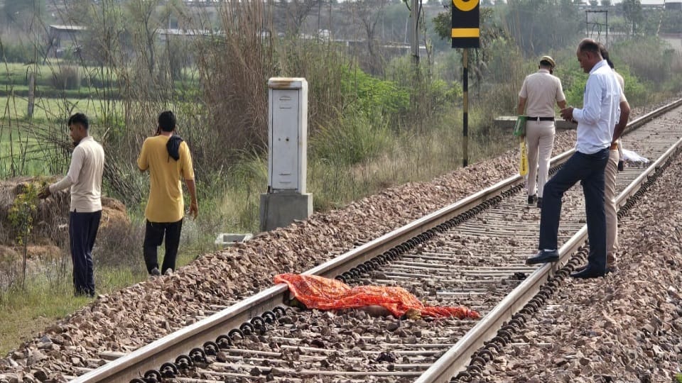 Husband and wife committed suicide in Jhajjar
