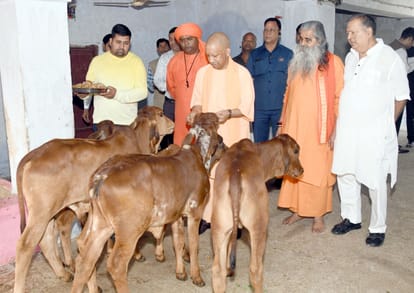 UP News: Chief Minister Yogi Adityanath in Ayodhya, reviews preparations for President's visit